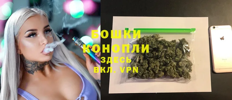 как найти наркотики  Медвежьегорск  Конопля Ganja 